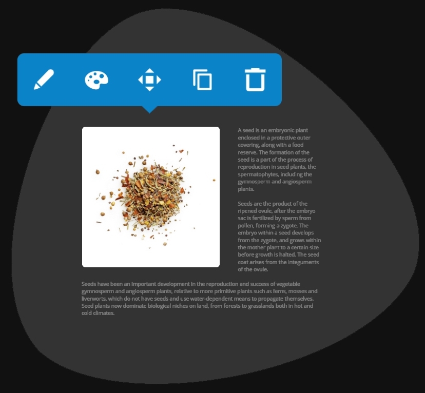 Bear CMS - Launch a high-quality website for yourself or your clients