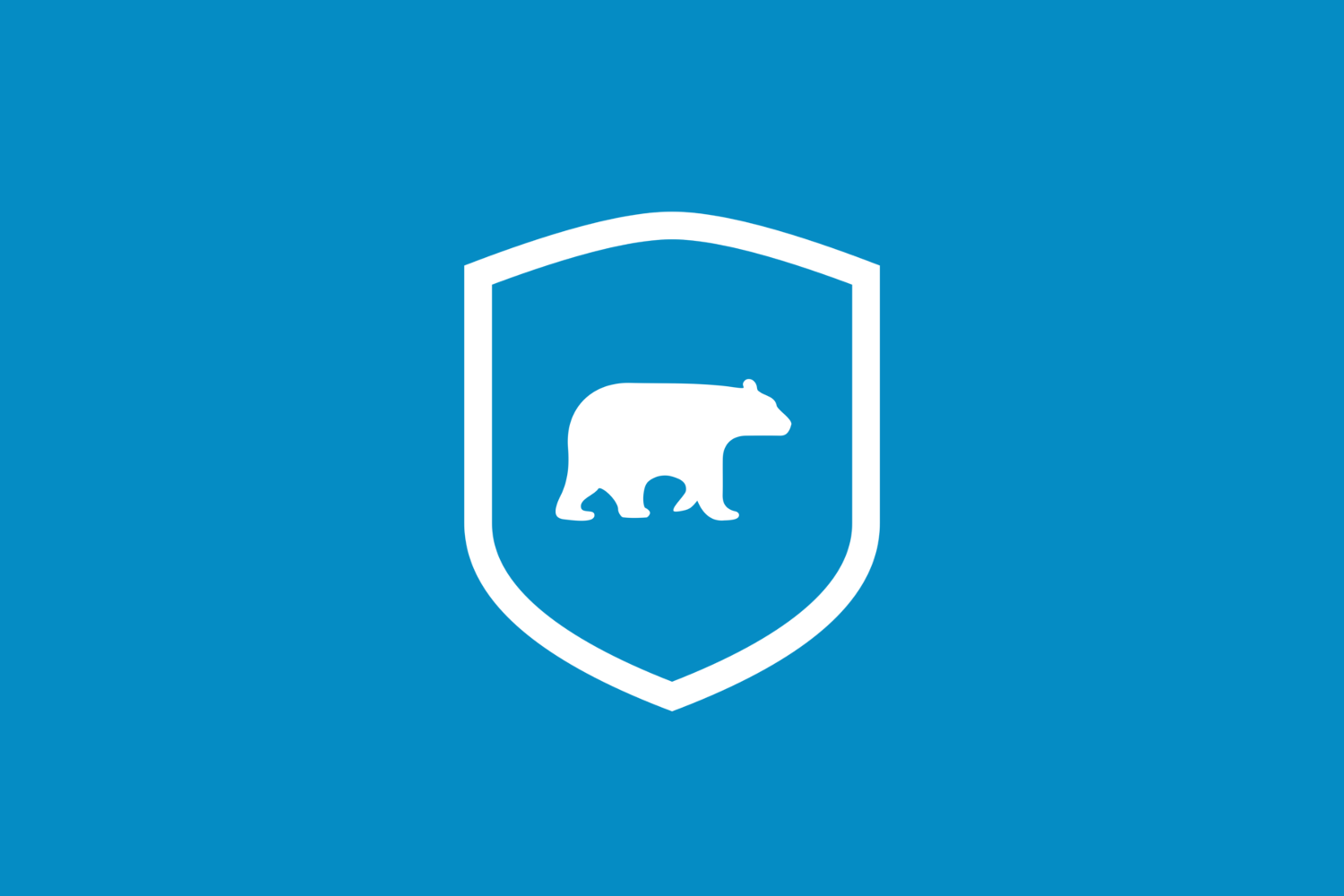 5 reasons why Bear CMS is more secure than your average CMS